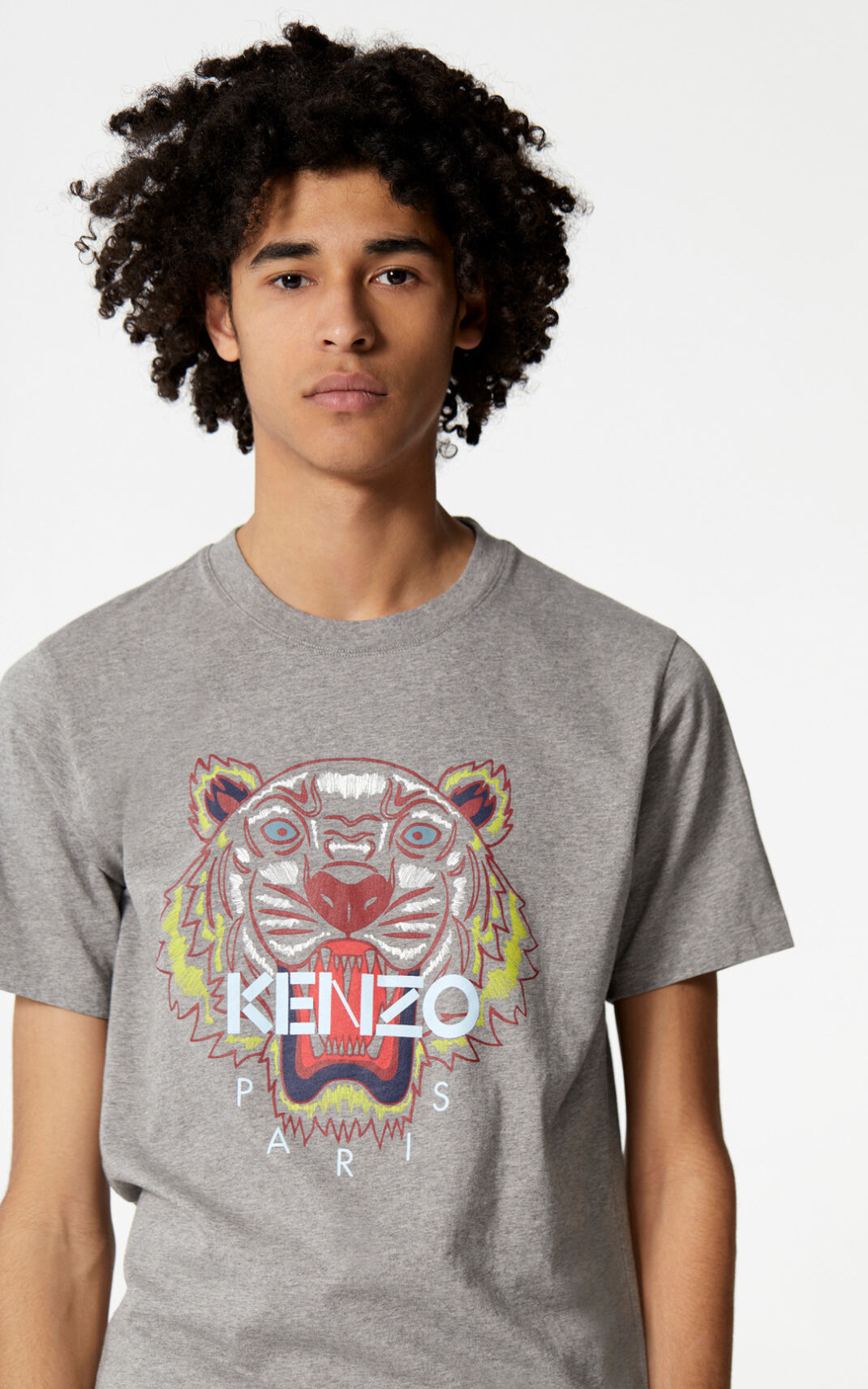 Kenzo 虎 Tシャツ メンズ グレー - GPAMYL479